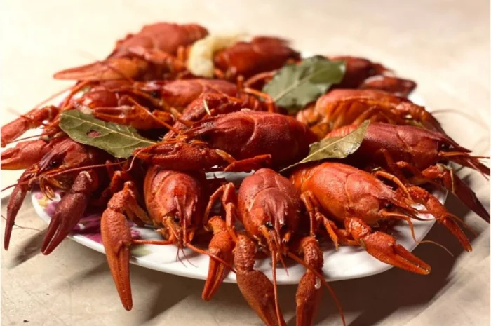 Раки ОПТ- фото № 8