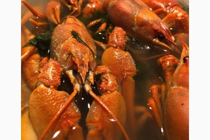 Куплю раки- фото № 2