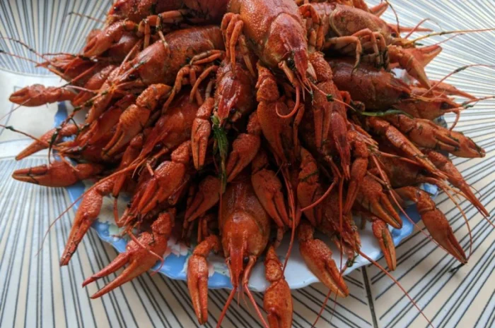 Куплю Живых Раков- фото № 1