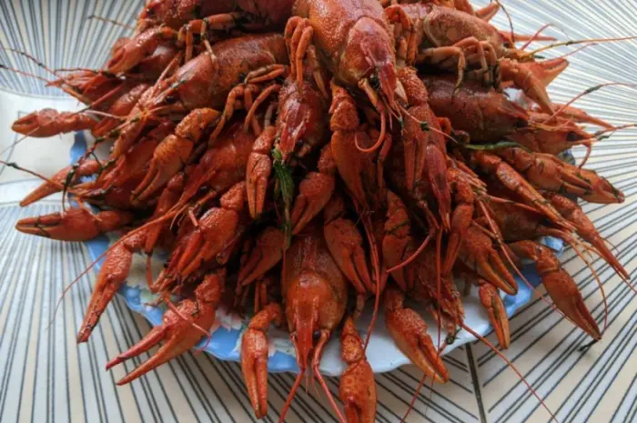 Куплю Живых Раков- фото № 1