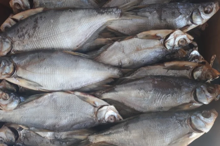 Риба від виробника- фото № 3