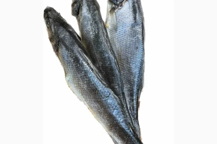 Риба ОПТ- фото № 1