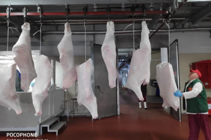 Купуємо баранину та яловичину живцем- фото № 8