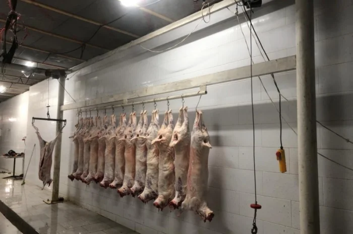 Есть покупатели полутуши баранов от производителя от 100 голов- фото № 2