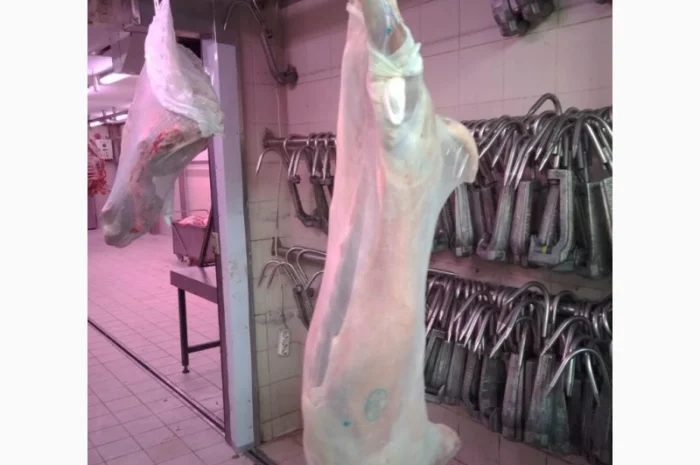 Купівля полутуші баранів від виробника від 100 голів- фото № 7