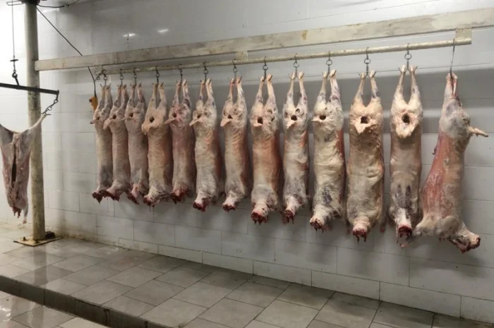 Есть покупатели полутуши баранов от производителя от 100 голов- фото № 1