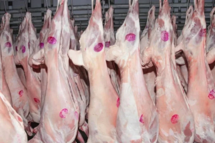 Баранина с Аккредитив на ОАИ- фото № 4