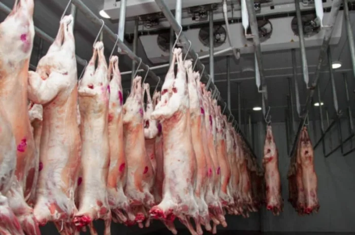 Баранина с Аккредитив на ОАИ- фото № 5