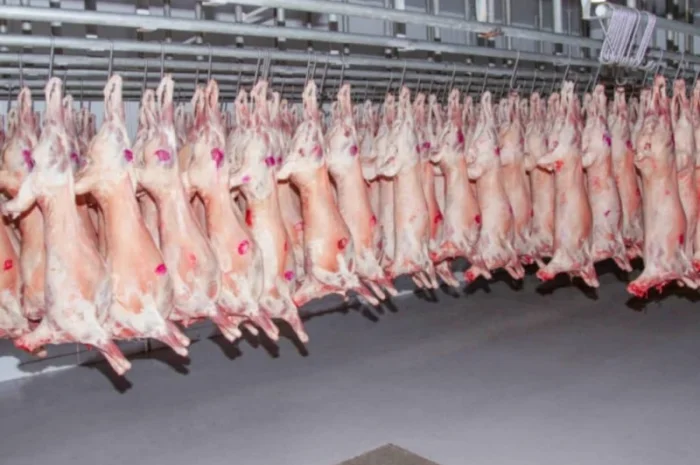 Баранина с Аккредитив на ОАИ- фото № 6