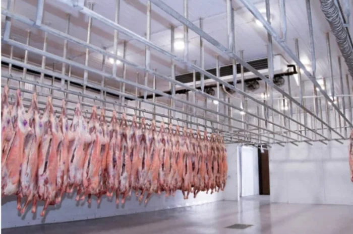 Баранина с Аккредитив на ОАИ- фото № 7