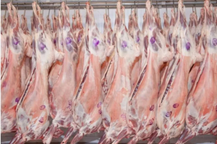 Баранина с аккредитив на Арабские Эмираты и Иран- фото № 3