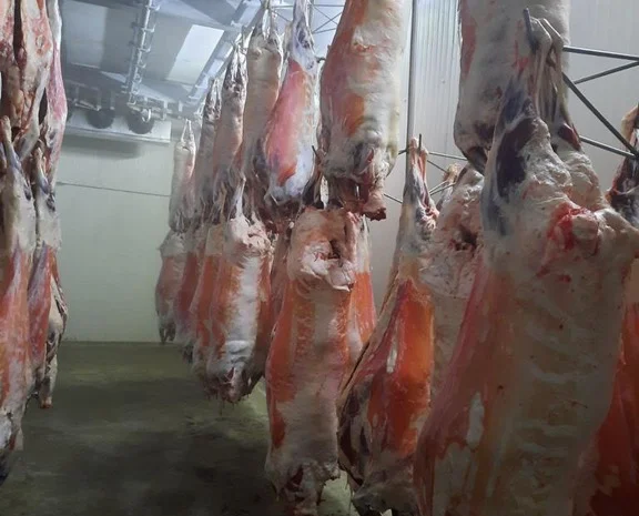 Баранина с аккредитив на Арабские Эмираты и Иран- фото № 4