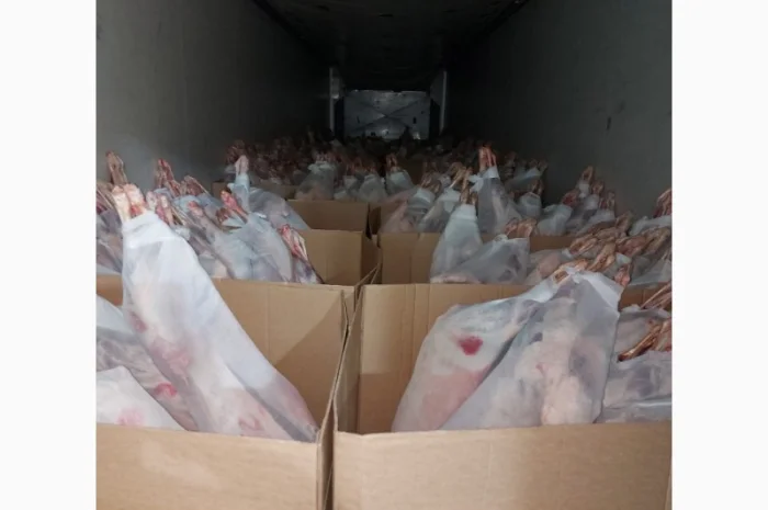 Баранина с аккредитив на Арабские Эмираты и Иран- фото № 10