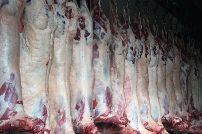 Продам баранину- фото № 1