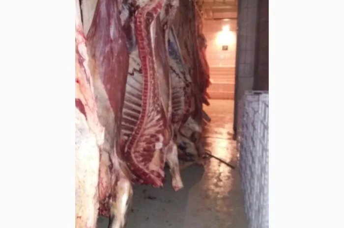Продам говяжьи полутуши от производителя, объём от 20 тонн- фото № 4