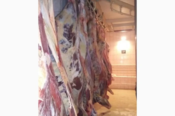 Продам говяжьи полу туши- фото № 1