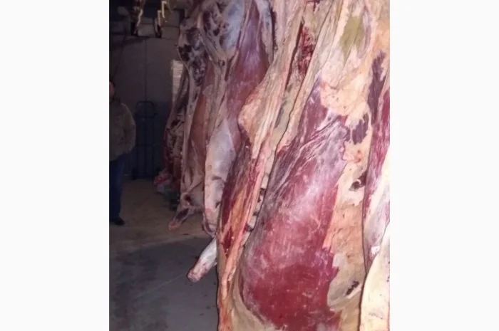Продам говяжьи полу туши- фото № 2