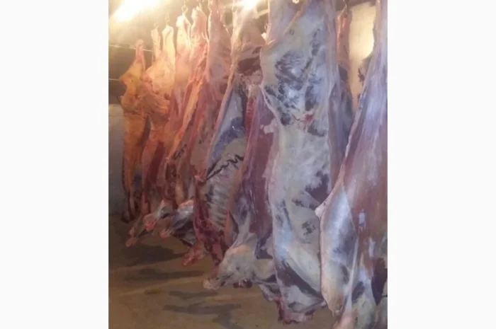 Продам говяжьи полу туши- фото № 4