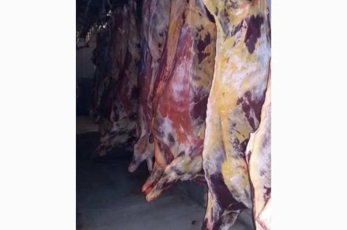Продам говяжьи полу туши- фото № 6
