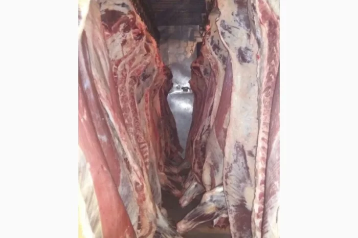 Продам говяжьи полу туши- фото № 7