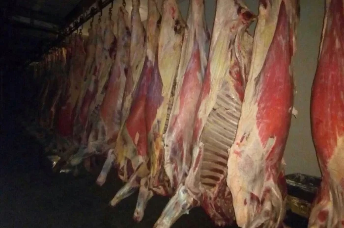 Продам говяжьи полу туши- фото № 8