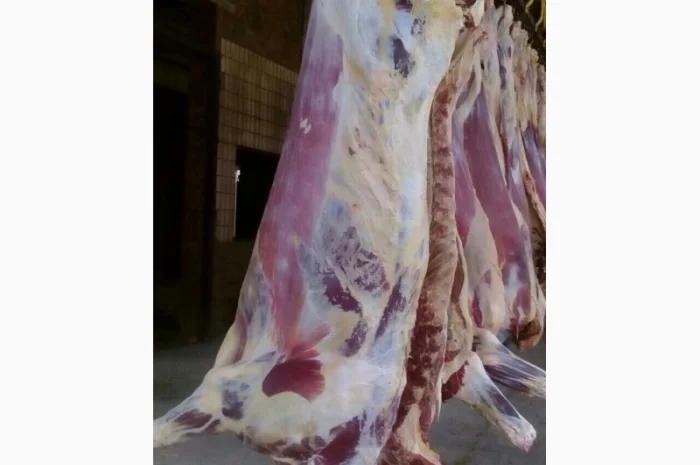 Продам говяжьи полу туши- фото № 9