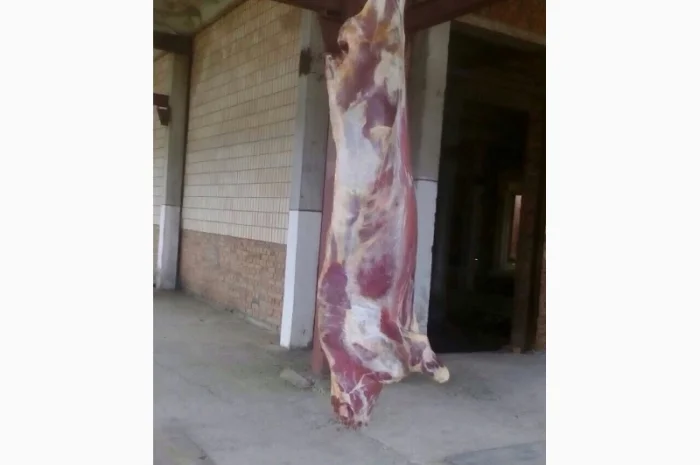 Продам говяжьи полу туши- фото № 10