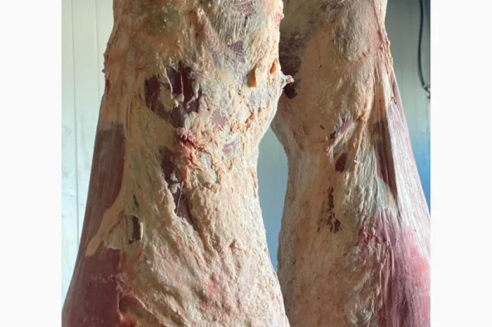 Продам говядину полу туши и на кости от производителя с 20 тонн. Кроме Европы- фото № 1