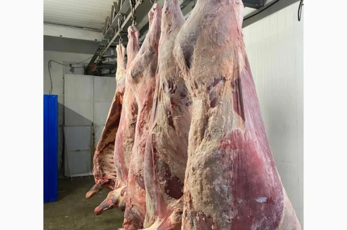 Продам говядину полу туши и на кости от производителя с 20 тонн. Кроме Европы- фото № 4