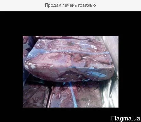 Продам печень говяжью- фото № 1