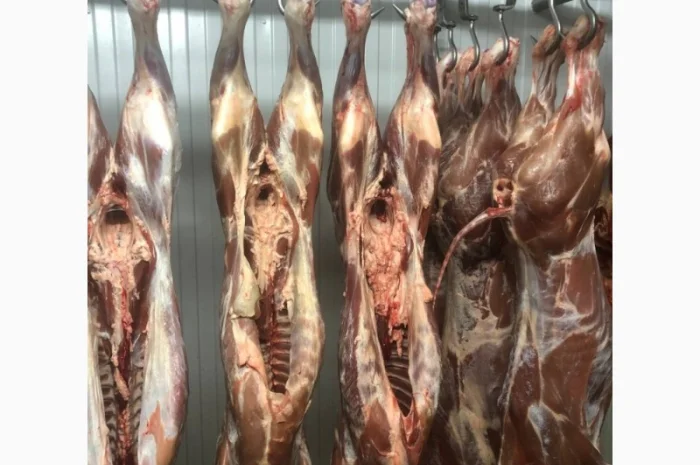 Телятина- фото № 1