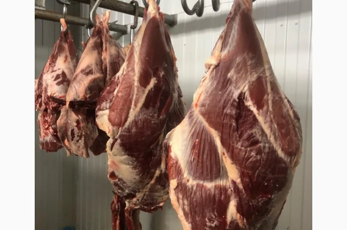 Телятина- фото № 2