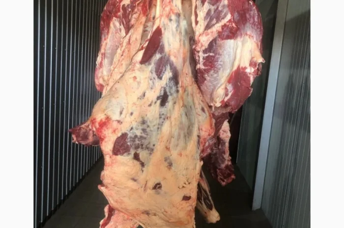 Яловичина, м’ясо яловичини, туші яловичини- фото № 1