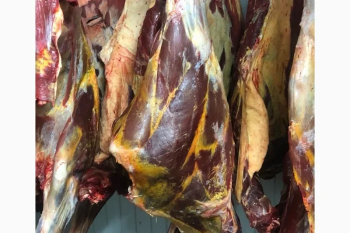 Яловичина, м’ясо яловичини, туші яловичини- фото № 2