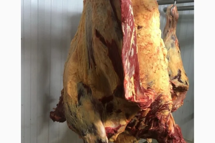 Яловичина, м’ясо яловичини, туші яловичини- фото № 3