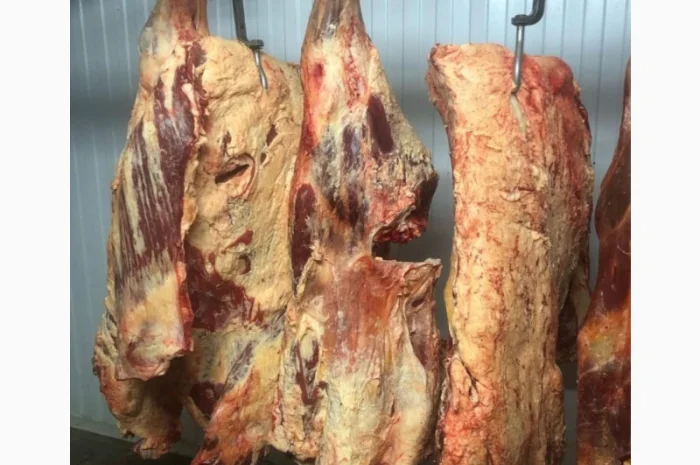 Яловичина, м’ясо яловичини, туші яловичини- фото № 4