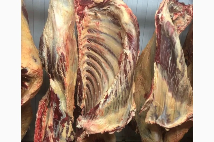 Яловичина, м’ясо яловичини, туші яловичини- фото № 5