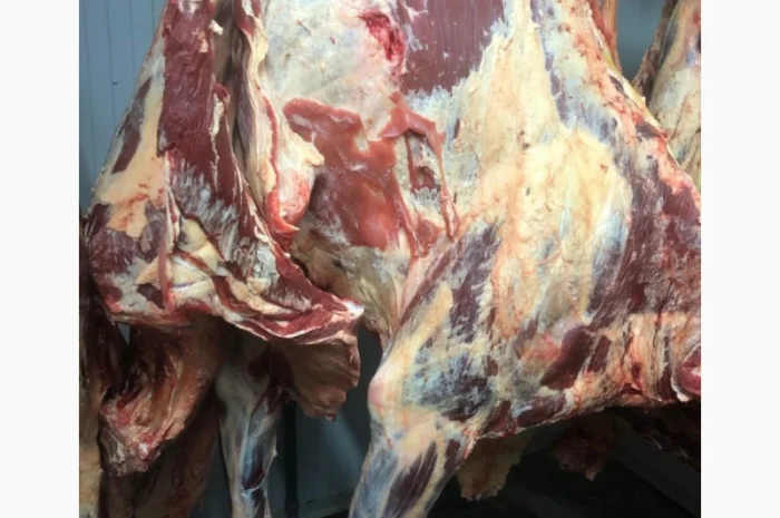 Яловичина, м’ясо яловичини, туші яловичини- фото № 7