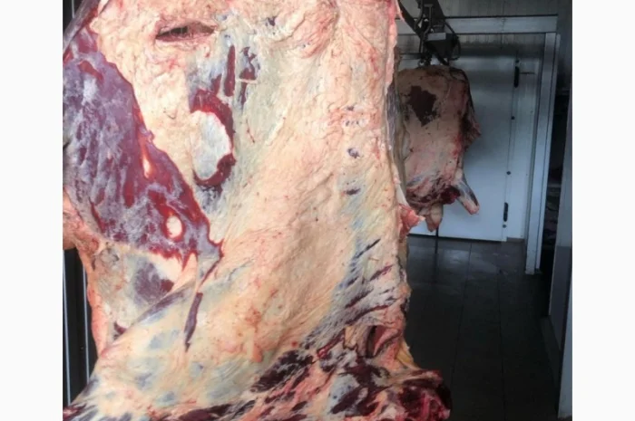 Яловичина, м’ясо яловичини, туші яловичини- фото № 8
