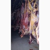 Продам говядину и от производителя с 20 тонн. Кроме Европы- фото № 6