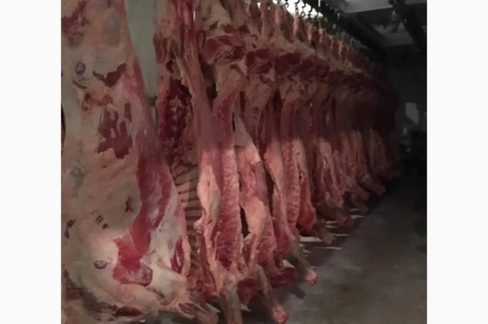 Продам на экспорт полутуши говядины. От производителя с 20 тонн Кроме Европи- фото № 3