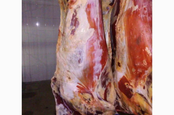 Продам на экспорт полутуши говядины. От производителя с 20 тонн Кроме Европи- фото № 4