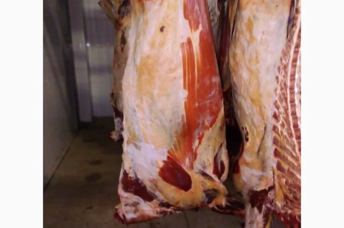 Продам на экспорт полутуши говядины. От производителя с 20 тонн Кроме Европи- фото № 5