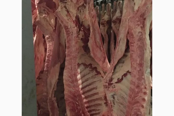 Продам на экспорт полутуши говядины. От производителя с 20 тонн Кроме Европи- фото № 6