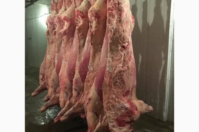 Продам на экспорт полутуши говядины. От производителя с 20 тонн Кроме Европи- фото № 7