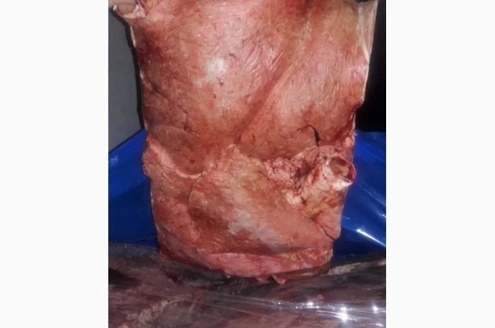 Продам жилку пищевую- фото № 3