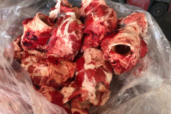 Стравохід- фото № 2