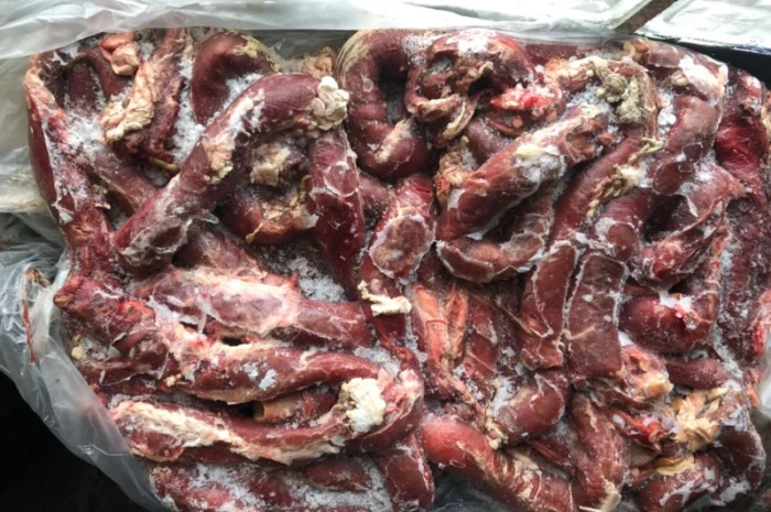 Стравохід- фото № 3