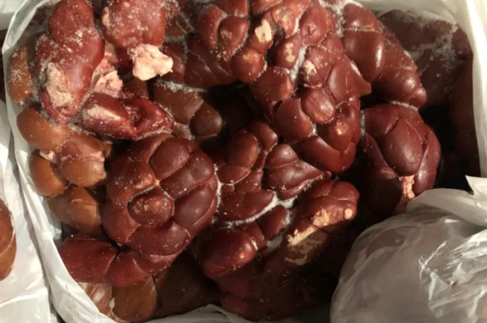 Серце ялове- фото № 1