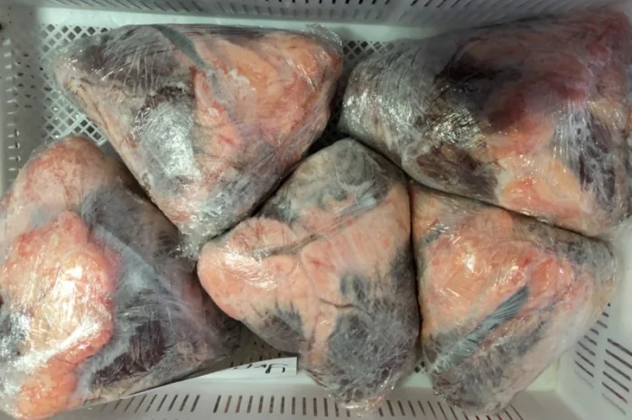 Серце ялове- фото № 2